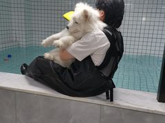 -柚子宠物(伊珊娜调理店)