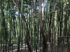 -江宁织造博物馆