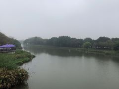 -海珠湖公园