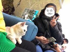 -瑞鹏宠物医院·爱宠堂·骨外专科(西荷分院)