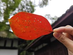 -成都杜甫草堂博物馆