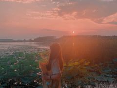 -丁香湖公园