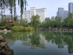 -西苑公园