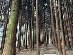 -太阳湾风景区