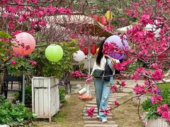 -桃源山庄·水蜜桃采摘·柴火鸡·烧烤团建(龙泉山店)