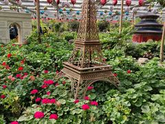 -南宫五洲植物乐园