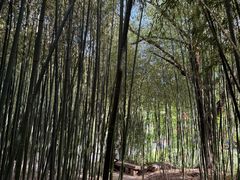 -竹泉村旅游度假区