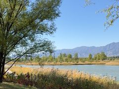 -野鸭湖国家湿地公园