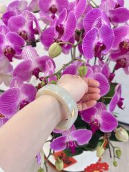 -烨麟黄金珠宝(和胤788广场一楼店)