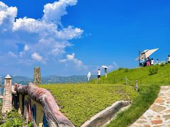 -桑干河大峡谷旅游区