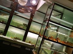 -甄御•海鲜新青岛菜(麦岛店)