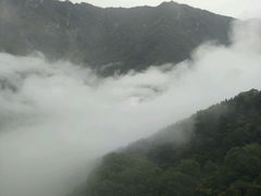 -陕西省红河谷森林公园