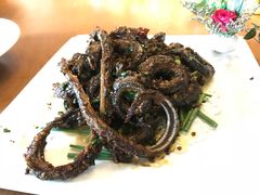 盘香鳝鱼-浙C老邻舍(西城海错店)