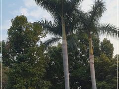 -广州市白云山风景名胜区