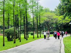 -晓港公园