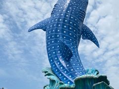 -珠海长隆海洋王国