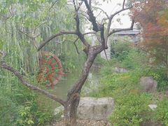 -绍兴大禹开元观堂-若耶厅