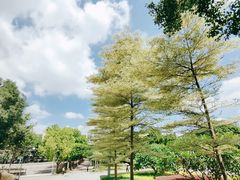 -华侨大学(厦门校区)