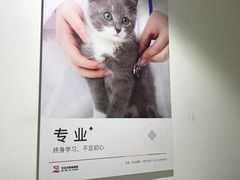 -艾贝尔宠物医院·24H转诊中心·肿瘤猫专科(江宁双龙店)