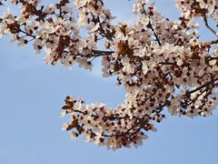 -咸阳湖景区-统一广场