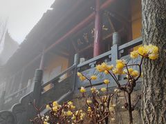 -横岗山森林公园
