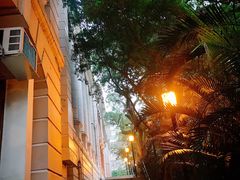 -香港大学