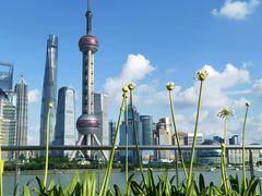 -北外滩滨江绿地