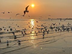 -老虎石海上公园