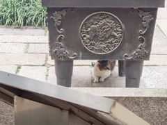 -青岛崂山太清宫