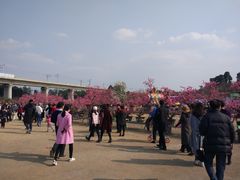 -秀丽东方