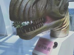 -安徽省地质博物馆