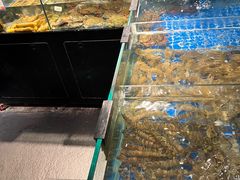 -闽海肴(北辰荟店)