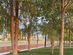 -党河风情线国家水利风景区