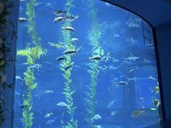 -南昌融创海世界