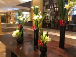 -福朋喜来登酒店·宴会厅