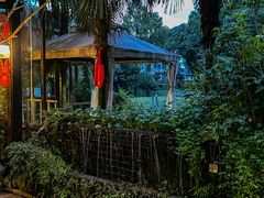 -野蔓果·山野菜(西湖景区·龙井茶田店)