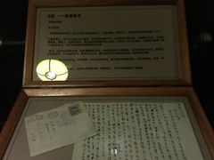 -武汉知音号