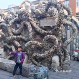 瓷房子 天津旅游必打卡