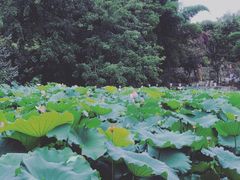 -莫催咖啡