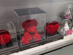 -ROSEONLY诺誓(国际广场购物中心店)