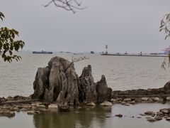 -上海吴淞炮台湾国家湿地公园