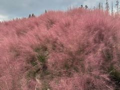 -嘉北郊野公园