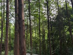 -凤栖山