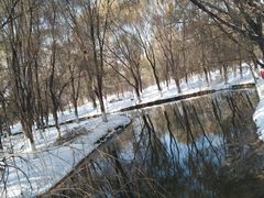 -长白岛森林公园