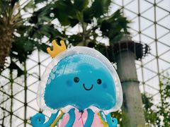 -上海辰山植物园