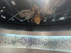 -陕西自然博物馆