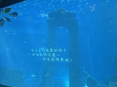 -南昌融创海世界