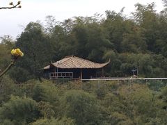 -陶祖圣境风景区