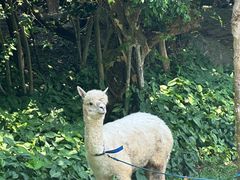 -三亚蜈支洲岛旅游区