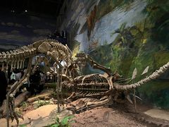 -自贡恐龙博物馆